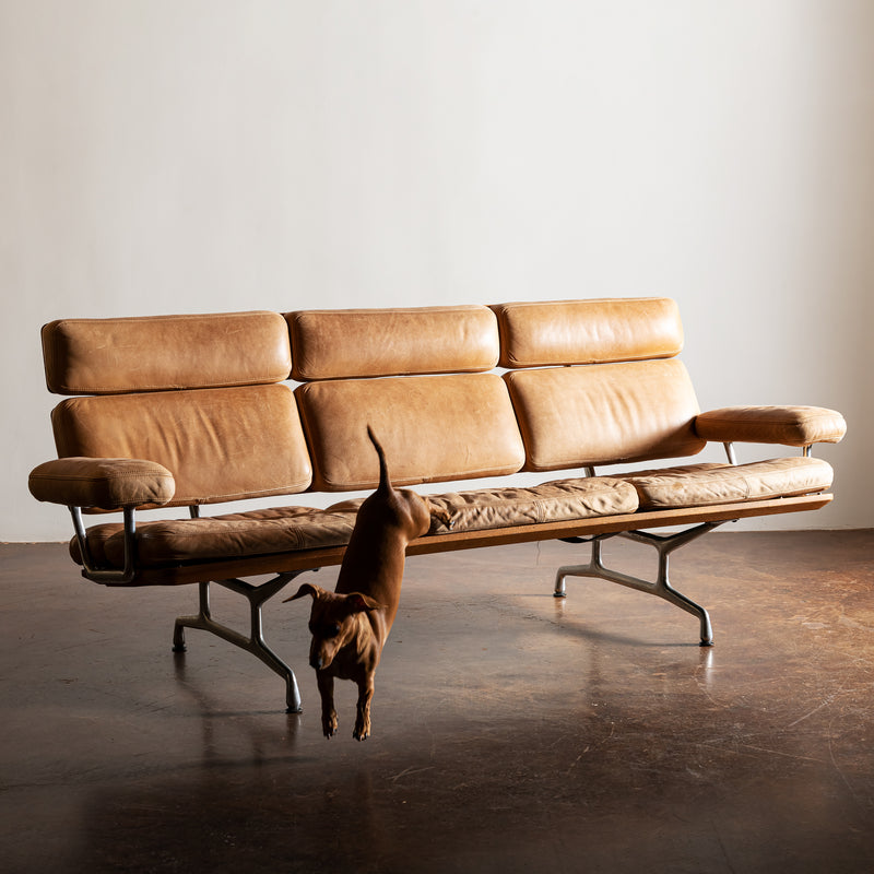 Eames ES 108 Sofa in Gorgeous Carmel Patinated Leather and Walnut, 1980s
